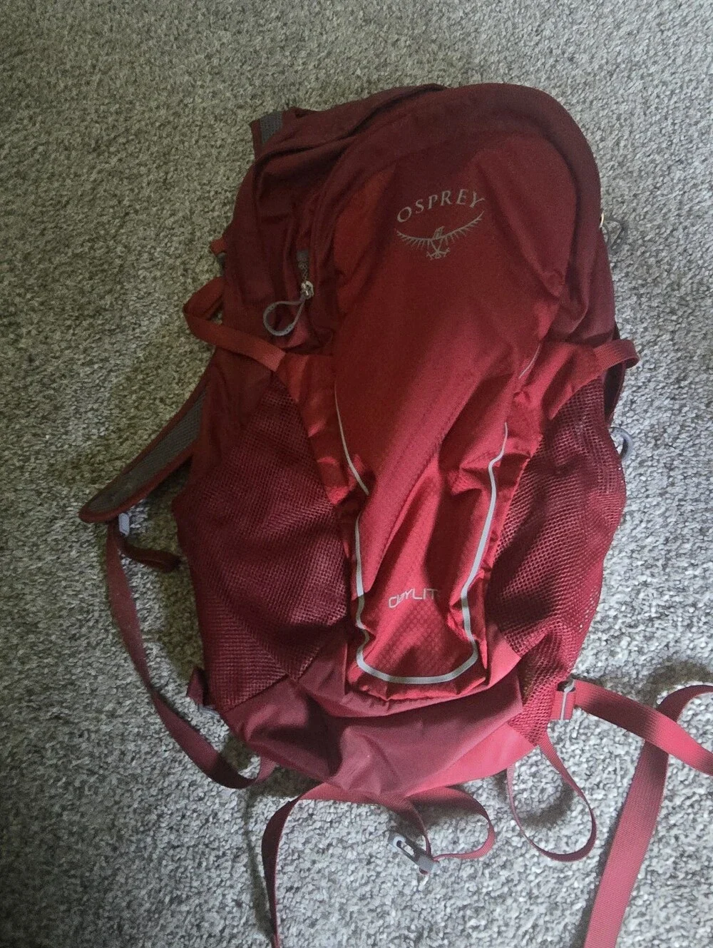 Men’s Osprey Porter 65 Travel Duffel Bag  and Daylite Backpack